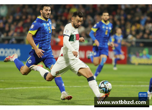 葡萄牙对阵波黑：欧洲杯预选赛焦点