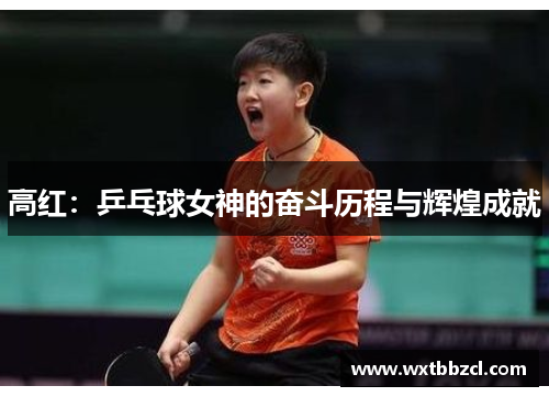 高红：乒乓球女神的奋斗历程与辉煌成就